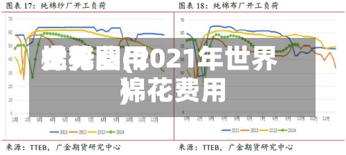 世界棉花费用走势图(2021年世界棉花费用)-第2张图片