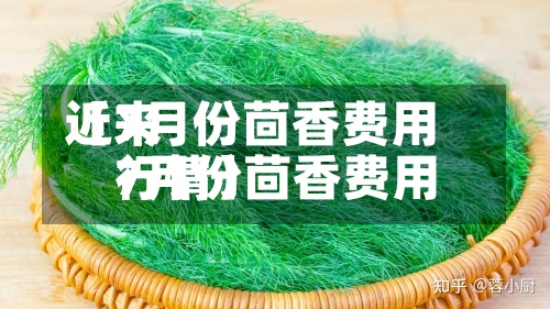 近来【7月份茴香费用7月份茴香费用行情】-第2张图片