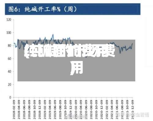 纯碱面的费用(纯碱的市场费用)