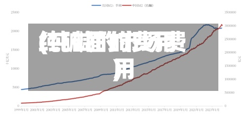 纯碱面的费用(纯碱的市场费用)-第2张图片
