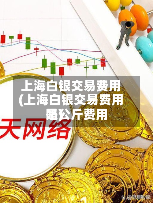 上海白银交易费用(上海白银交易费用是公斤费用吗)-第2张图片