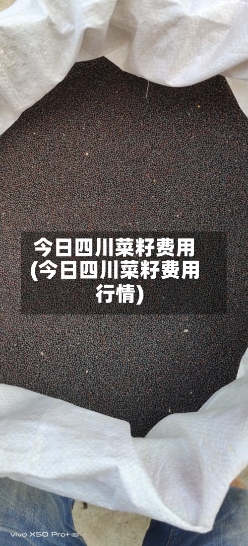 今日四川菜籽费用(今日四川菜籽费用行情)-第2张图片