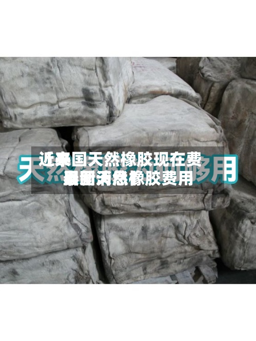 近来【泰国天然橡胶现在费用泰国天然橡胶费用最新消息】