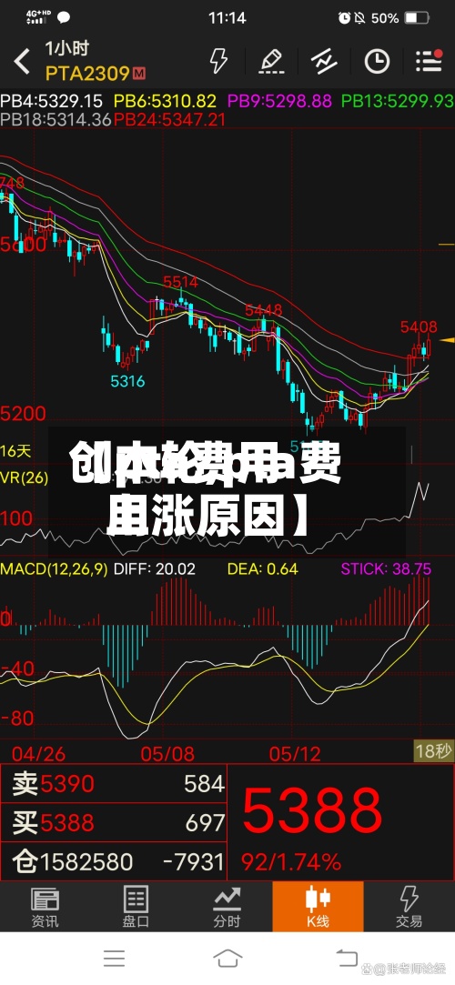 【pta费用创本轮,pta费用上涨原因】