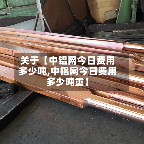 关于【中铝网今日费用多少吨,中铝网今日费用多少吨重】