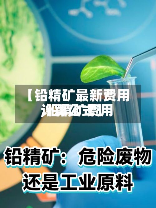 【铅精矿最新费用,铅精矿费用计算公式】-第2张图片
