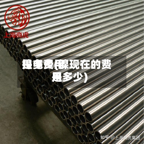 镍电费用是多少(镍现在的费用是多少)-第2张图片