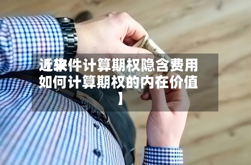 近来【软件计算期权隐含费用如何计算期权的内在价值】-第2张图片