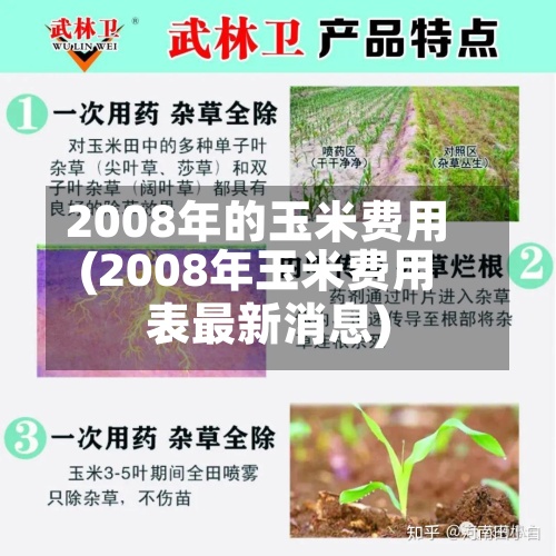 2008年的玉米费用(2008年玉米费用表最新消息)