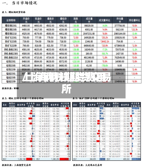 上海钢铁期货费用/上海钢铁期货交易所