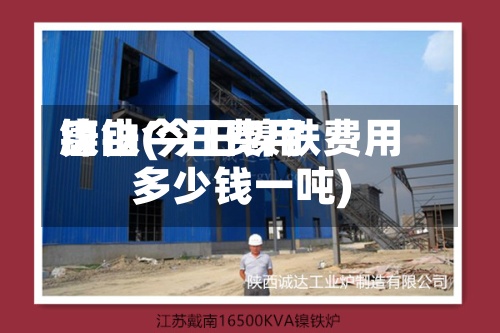 镍铁今日费用唐山(今日镍铁费用多少钱一吨)-第2张图片