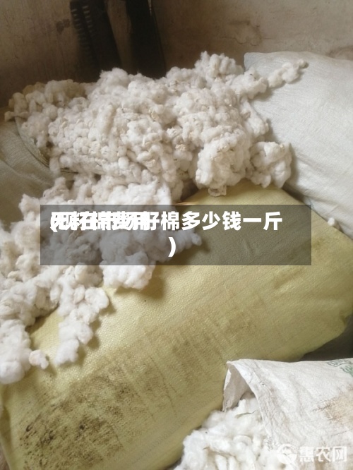 无籽棉费用(现在市场籽棉多少钱一斤)