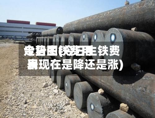今日生铁费用走势图(今日生铁费用表现在是降还是涨)-第3张图片