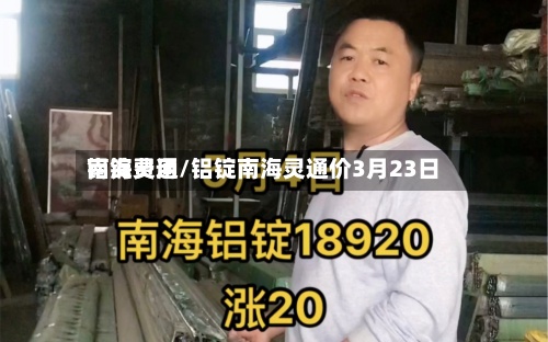 铝锭费用南海灵通/铝锭南海灵通价3月23日-第2张图片