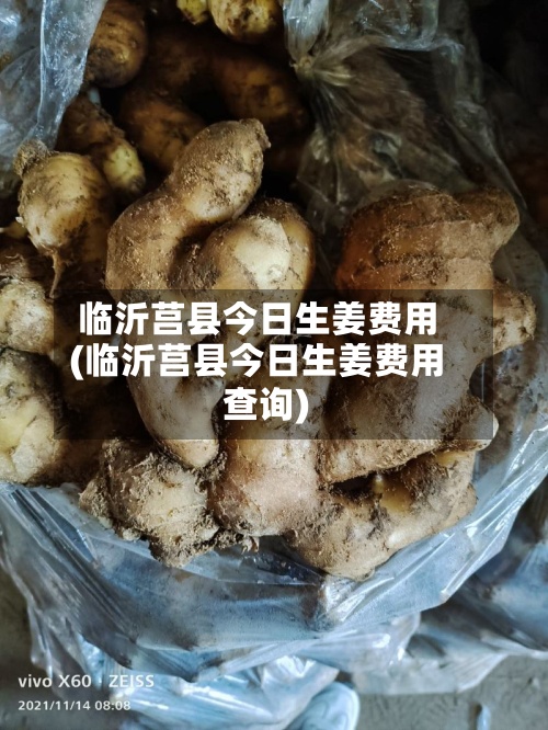 临沂莒县今日生姜费用(临沂莒县今日生姜费用查询)-第2张图片