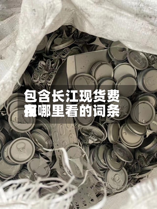 包含长江现货费用在哪里看的词条