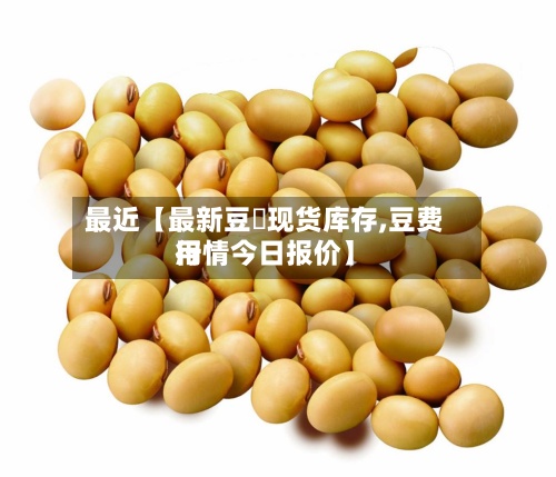 最近【最新豆粨现货库存,豆费用行情今日报价】