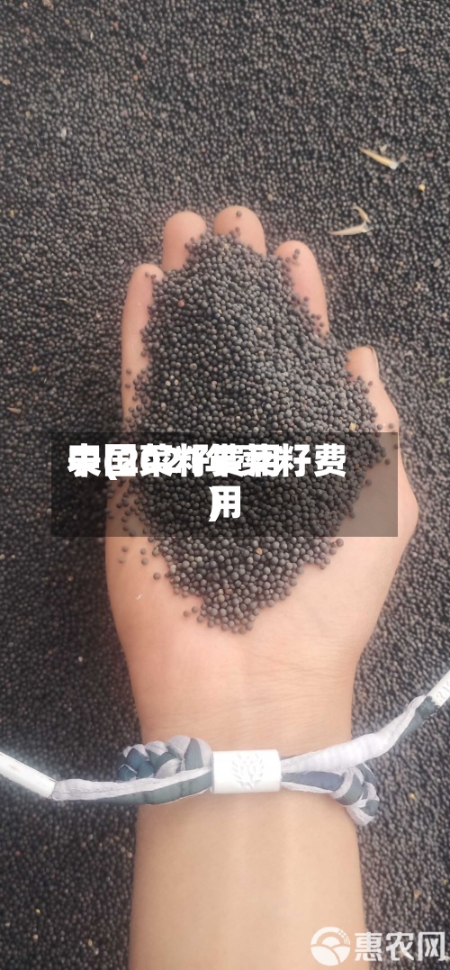中国菜籽费用表(2021年菜籽费用)