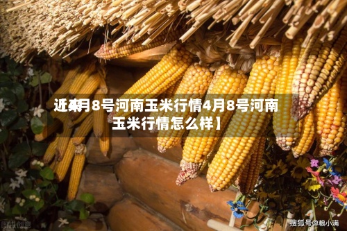 近来【4月8号河南玉米行情4月8号河南玉米行情怎么样】-第3张图片