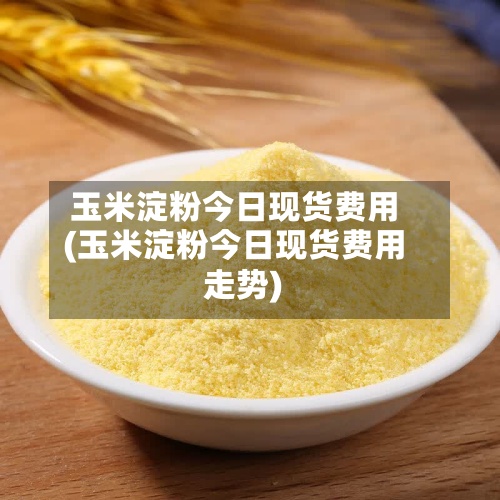 玉米淀粉今日现货费用(玉米淀粉今日现货费用走势)-第2张图片