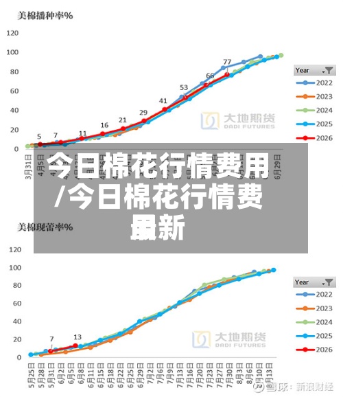 今日棉花行情费用/今日棉花行情费用最新-第2张图片
