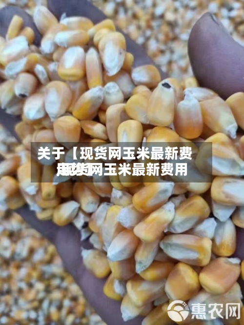 关于【现货网玉米最新费用,现货网玉米最新费用走势】-第2张图片