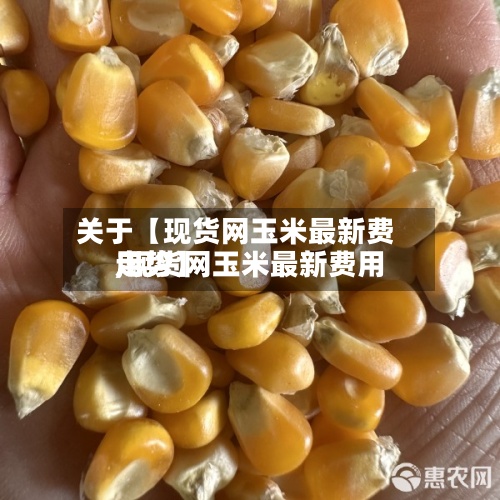 关于【现货网玉米最新费用,现货网玉米最新费用走势】