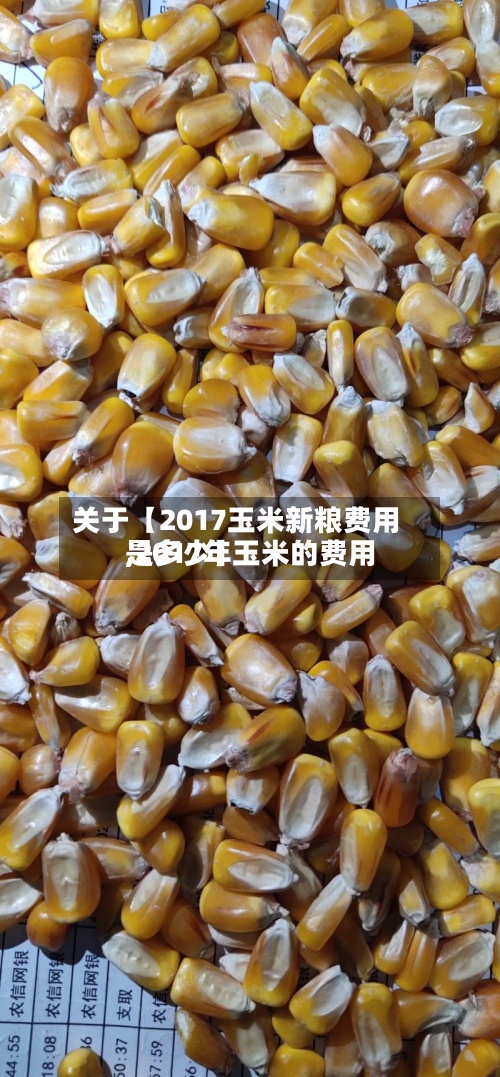 关于【2017玉米新粮费用,2017年玉米的费用是多少】