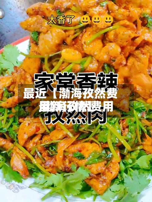 最近【渤海孜然费用
,渤海孜然费用
最新行情】-第2张图片