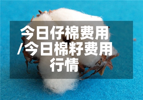今日仔棉费用/今日棉籽费用行情-第2张图片