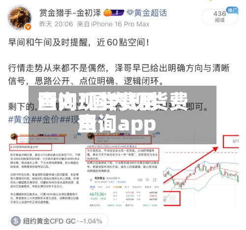 国内现货费用查询/国内现货费用查询app-第2张图片