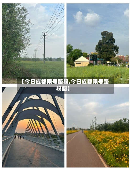 【今日成都限号路段,今日成都限号路段图】-第2张图片