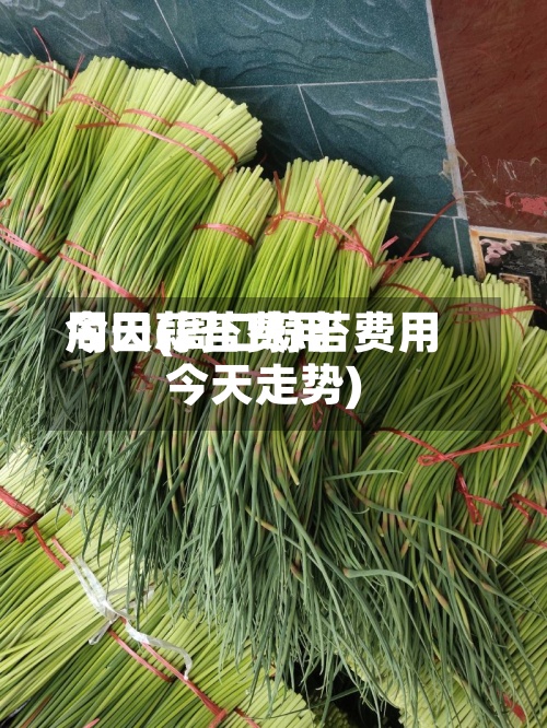 周口蒜苔费用今天(周口蒜苔费用今天走势)-第3张图片