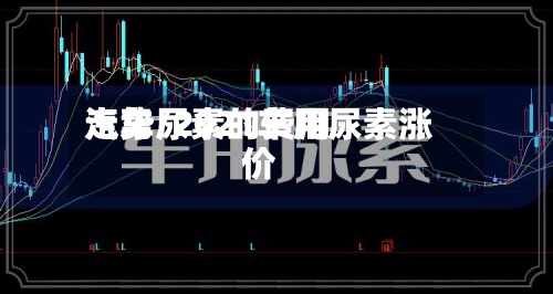 汽车尿素的费用
走势/2021车用尿素涨价-第1张图片