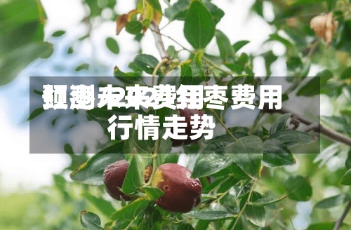 红枣未来费用预测/2021红枣费用行情走势-第2张图片