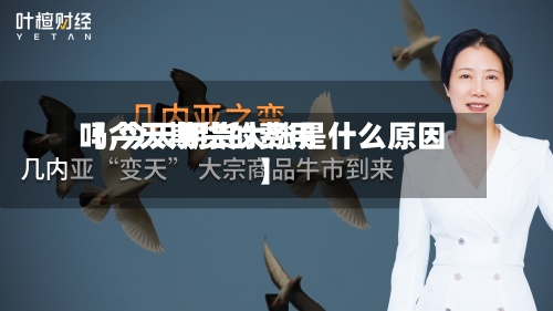 【今天期货的费用
吗,今天期货大涨是什么原因】-第3张图片