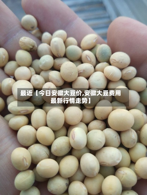 最近【今日安徽大豆价,安徽大豆费用最新行情走势】