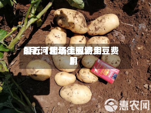 最近【围场土豆费用8月,河北承德围场土豆费用】-第2张图片