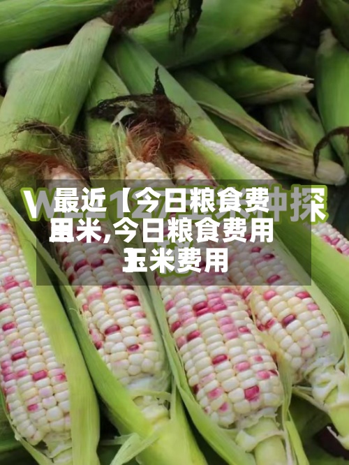 最近【今日粮食费用
玉米,今日粮食费用
玉米费用
】-第2张图片