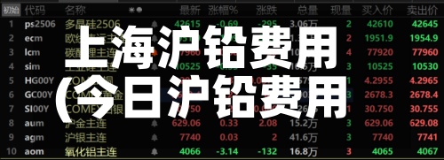 上海沪铅费用(今日沪铅费用行情)-第2张图片