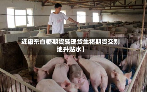 近来【山东白糖期货转现货生猪期货交割地升贴水】-第2张图片