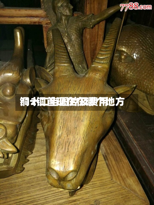 铜十二当图片及费用/12铜首现在在哪个地方-第3张图片
