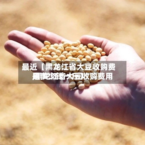 最近【黑龙江省大豆收购费用
,黑龙江省大豆收购费用
是多少钱一斤】-第3张图片