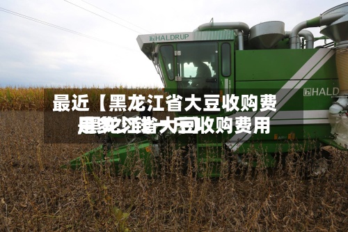 最近【黑龙江省大豆收购费用
,黑龙江省大豆收购费用
是多少钱一斤】-第2张图片