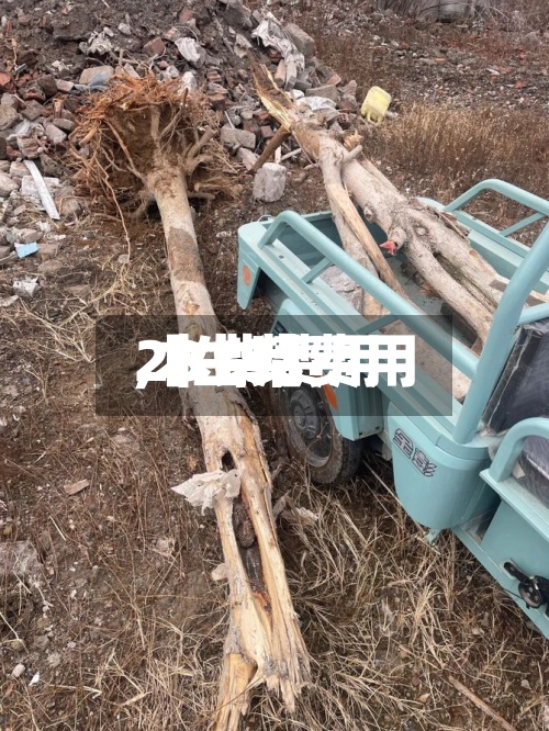 【生柴费用
,木柴费用
2019】-第2张图片