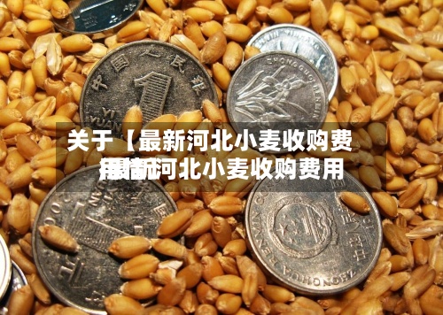 关于【最新河北小麦收购费用
,最新河北小麦收购费用
行情】-第2张图片