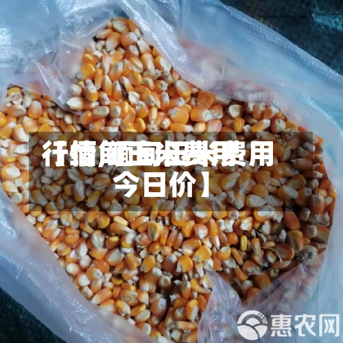 【缅甸玉米费用行情,缅甸玉米费用 今日价】-第2张图片