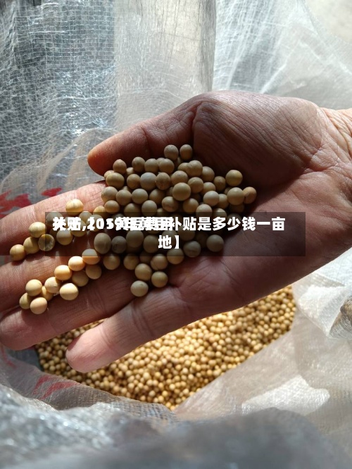 关于【15黄豆费用补贴,2019年黄豆补贴是多少钱一亩地】