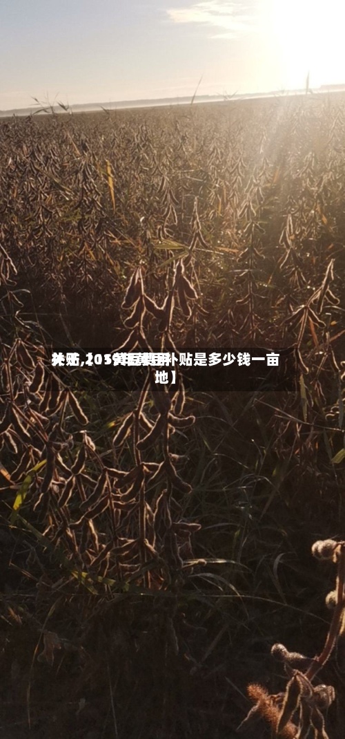 关于【15黄豆费用补贴,2019年黄豆补贴是多少钱一亩地】-第3张图片