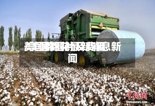 美国棉图片及费用
/美国棉花最新消息新闻-第2张图片